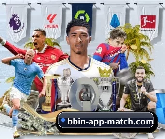 BBIN下载 APP