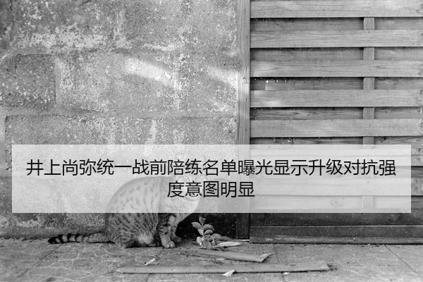 井上尚弥统一战前陪练名单曝光显示升级对抗强度意图明显