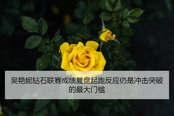 吴艳妮钻石联赛成绩复盘起跑反应仍是冲击突破的最大门槛