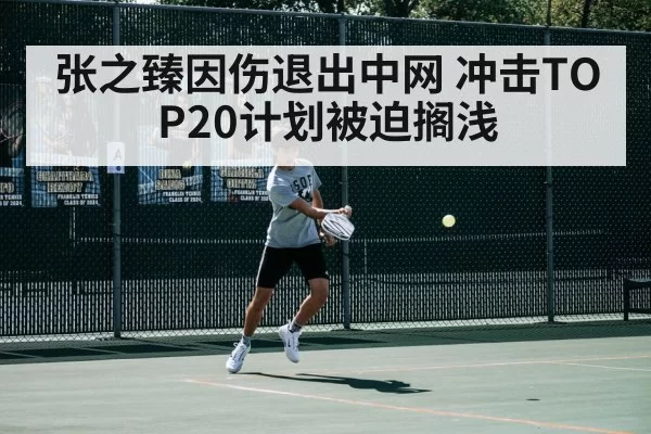 张之臻因伤退出中网 冲击TOP20计划被迫搁浅